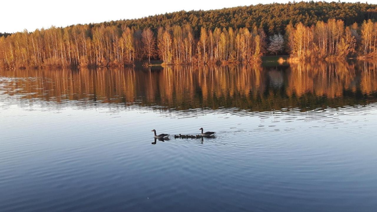 Ferienwohnung Schwalbennest Am Igelsbachsee อับส์แบร์ก ภายนอก รูปภาพ